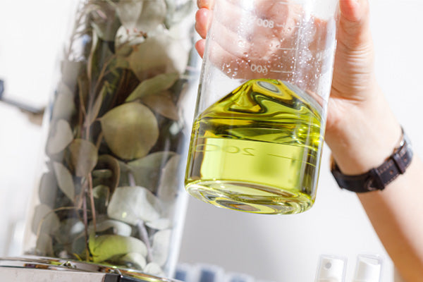 フレグランスブランド「yes.」